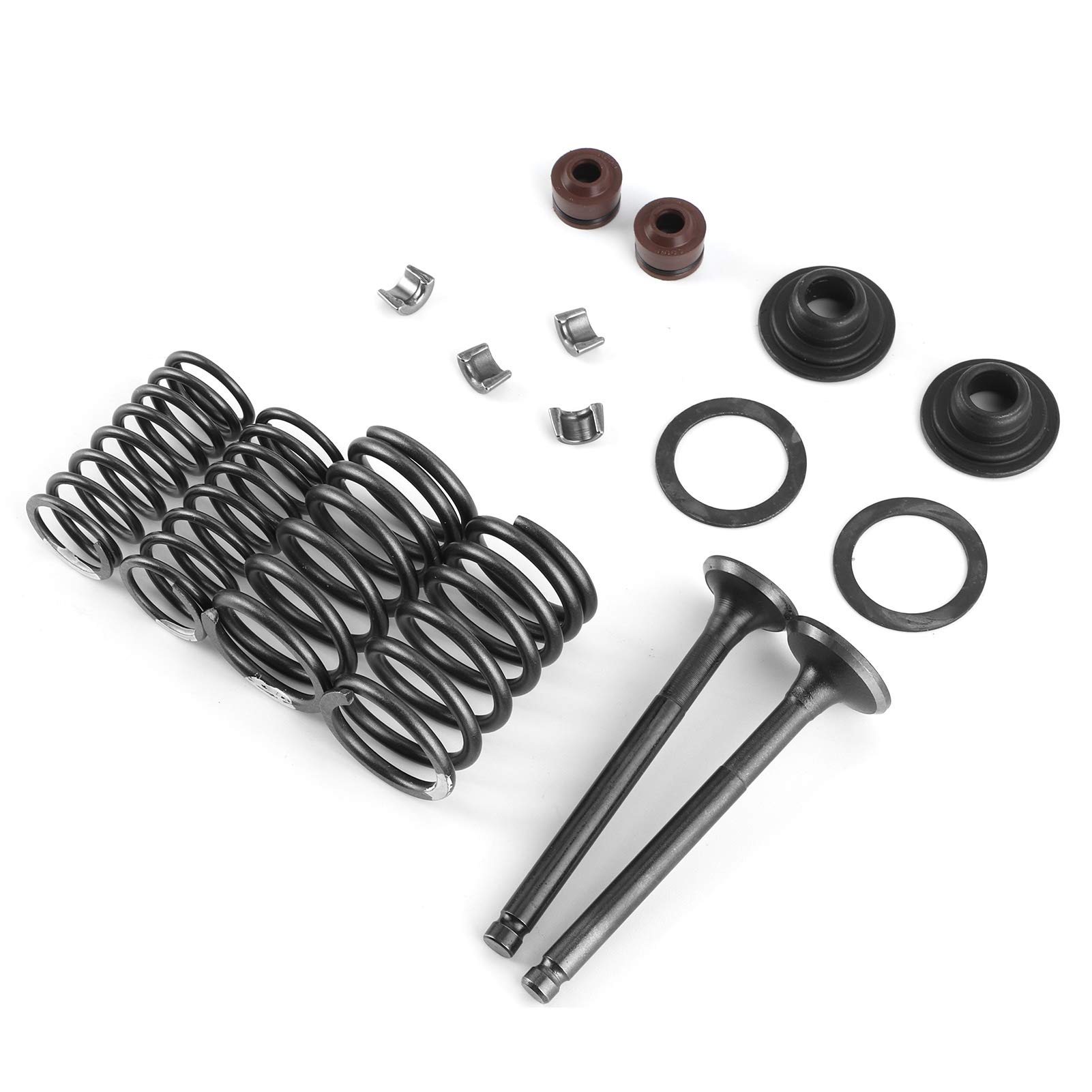 Valve Springs